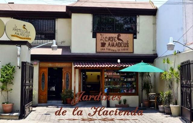Cafe Amadeus