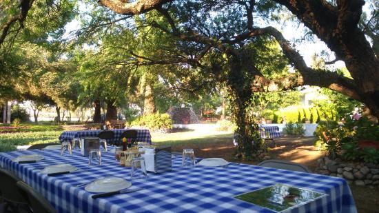 Club Vergel Resort
