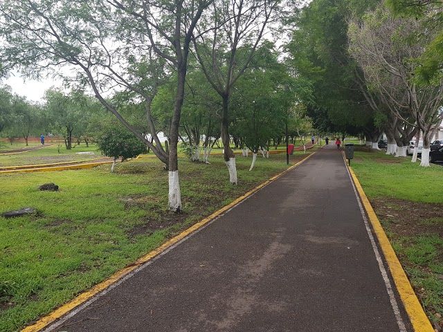 Parque Tejeda